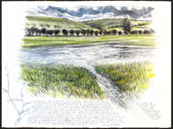nick_andrew._confluence_ebble_rise__near_alvediston_200224__mixed_media_drawing._76x56cm.jpg