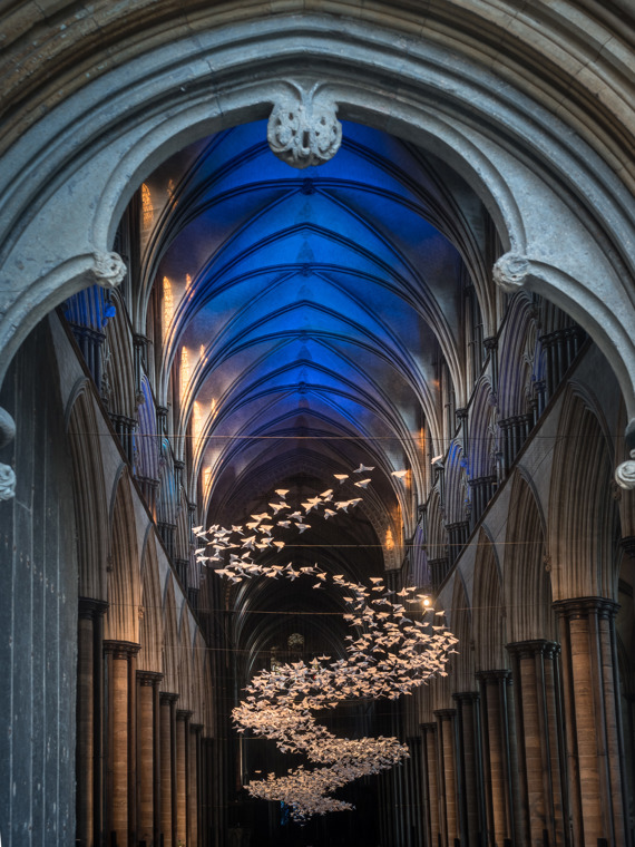 Les Colombes #SalisburyCityOfDoves