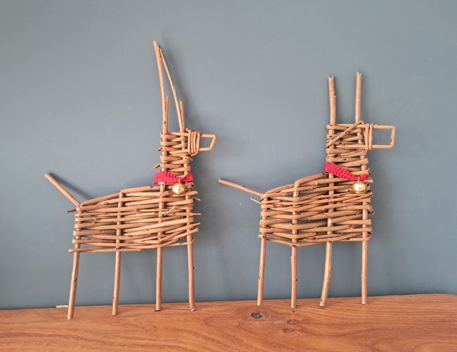 willow_reindeer_copyright_polly_whyte__2_.jpg (1)