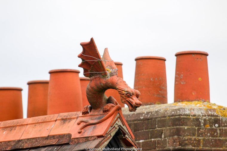 Salisbury Blue Boar Row Dragon